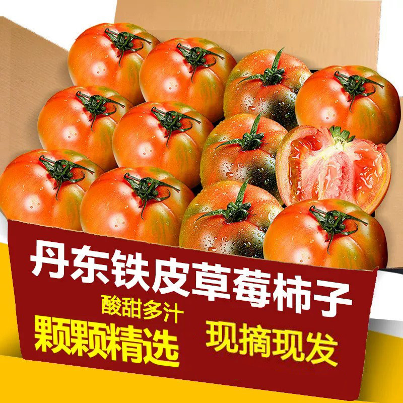 铁皮草莓柿子正宗当季好货!