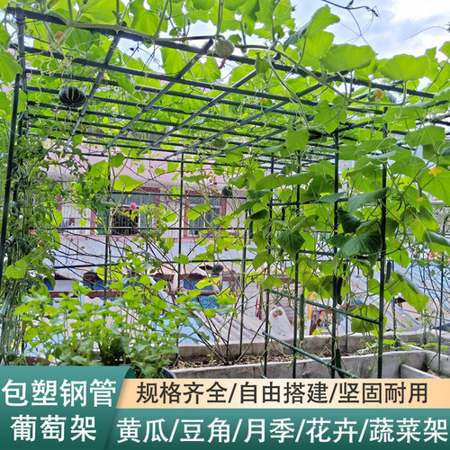 花架爬藤架葡萄架蔬菜瓜果支撑架