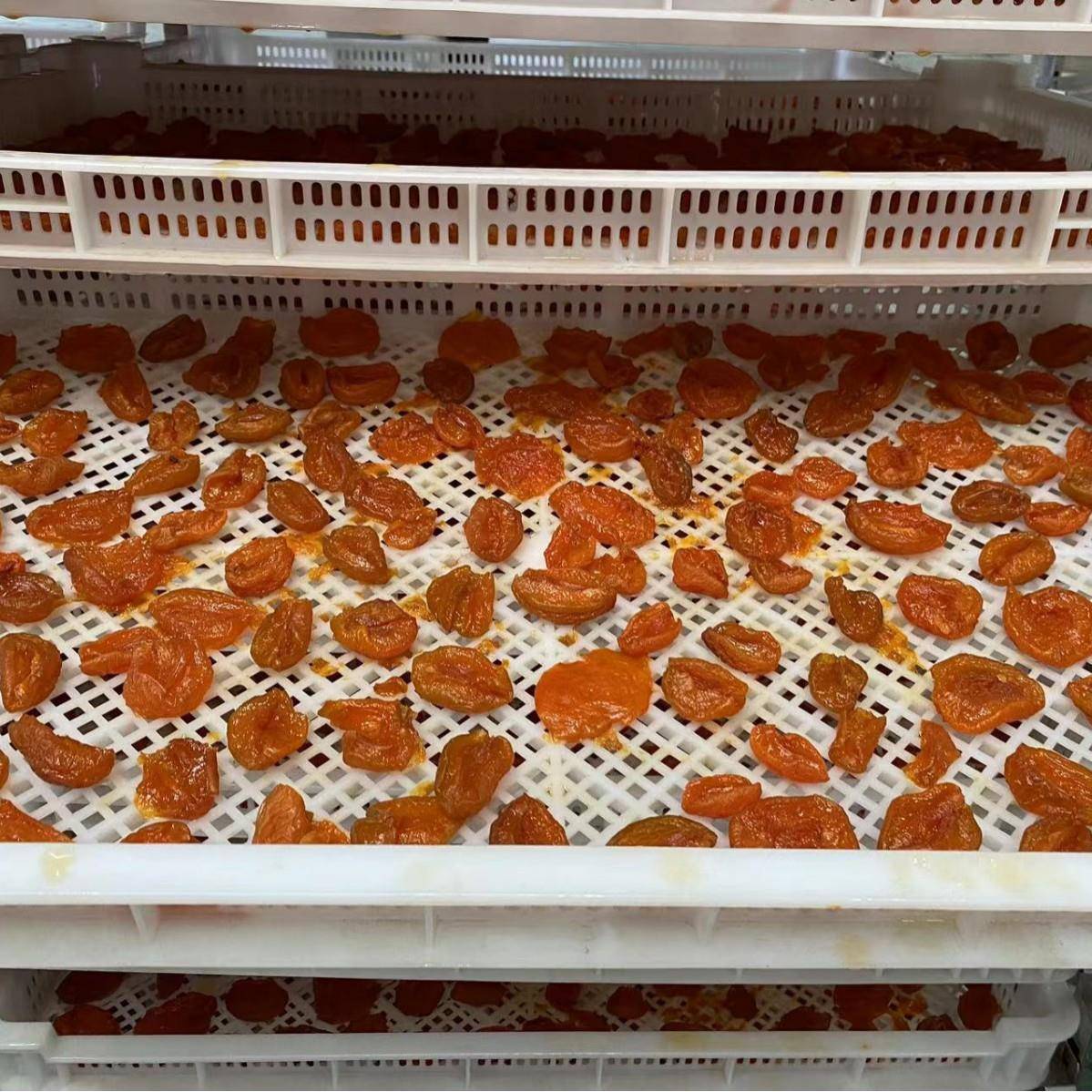 干果坚果山楂果脯干燥房设备宠物食品饲料烘干机狗粮猫粮烘干箱