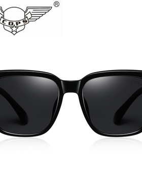 特蟼偏光太阳镜男防紫外线开车墨镜男士遮阳90198