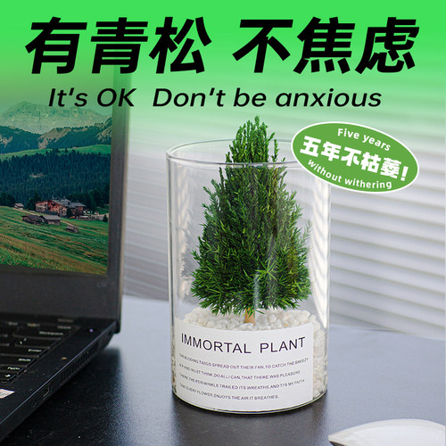 放青松办公室桌面摆件送老师礼物