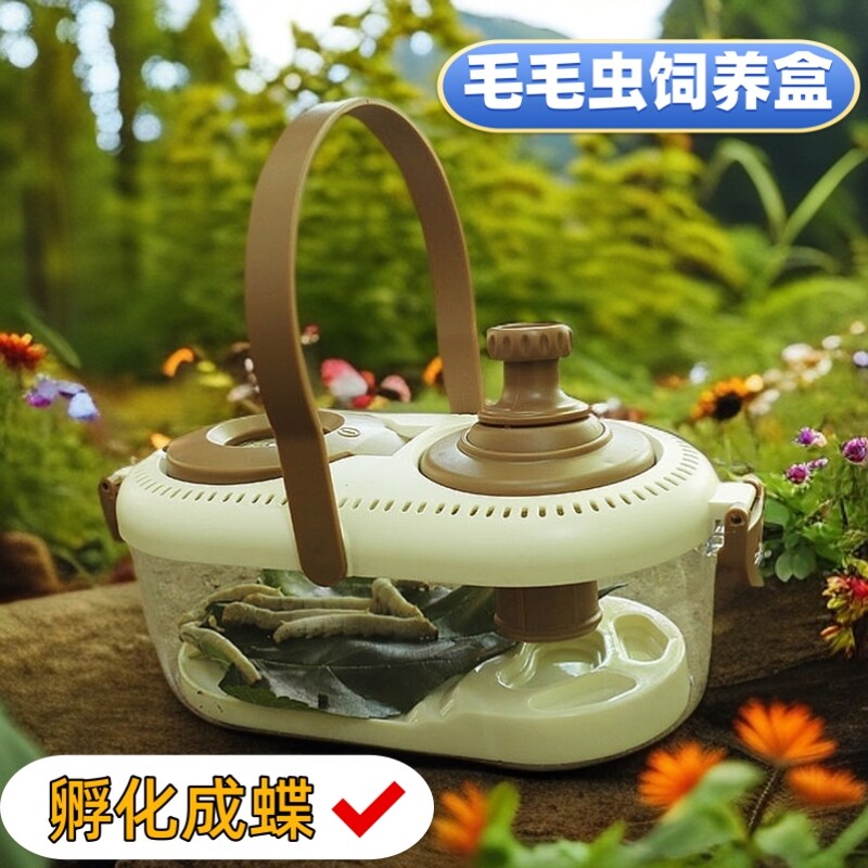 真活蝴蝶幼虫蛹可孵化蝴蝶蛹卵
