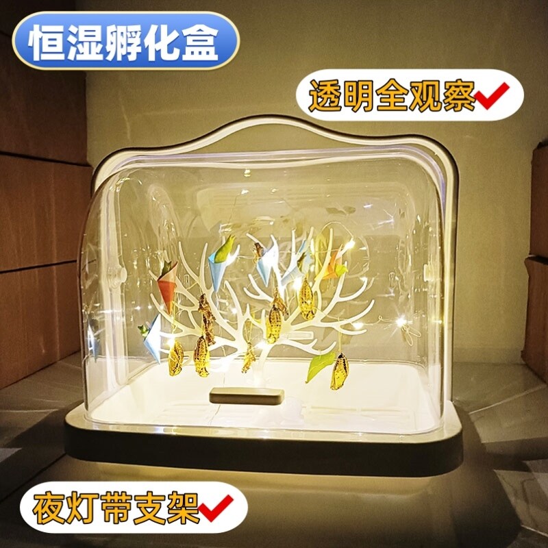 蝶蛹幼虫毛毛虫可认主笼观察昆虫笼养虫笼蝶卵羽化观察体验蝴蝶蛹