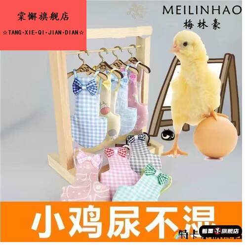 小鸡纸专用尿裤小鸭子鸡尿不湿屎兜鹅粪兜宠物鸭尿兜柯尔鸭子宠物