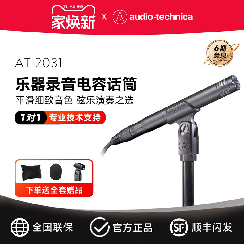 铁三角AT2031钢琴提琴吉他人声专业乐器录音话筒小振膜电容麦克风