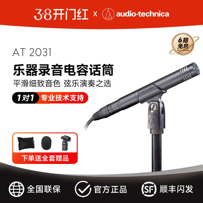 铁三角AT2031钢琴提琴吉他人声专业乐器录音话筒小振膜电容麦克风