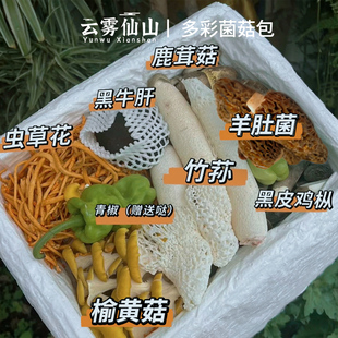 新鲜七彩菌菇组合套餐1kg 羊肚菌竹荪汤包炖菌子火锅蘑菇煲汤食材