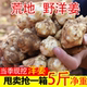 2025洋姜新鲜现挖野鬼子姜不辣农家蔬菜腌制泡菜产地直销菊芋洋姜