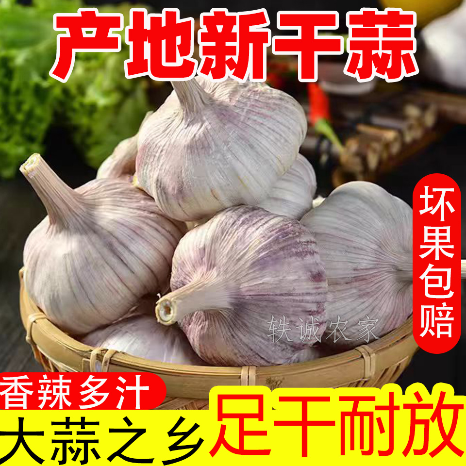 (今日福力)农家新干蒜5斤紫白皮杞县特产大蒜头1斤3斤9斤产地直发