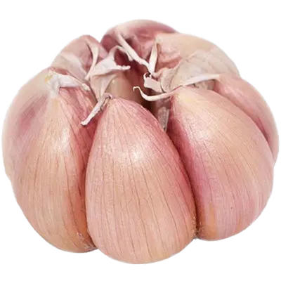 轶诚农家干大蒜头产地直发