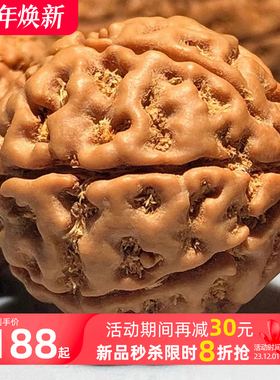 精挑尼泊尔大金刚菩提子原籽手串单颗爆肉沉水七八瓣散珠男士佛珠