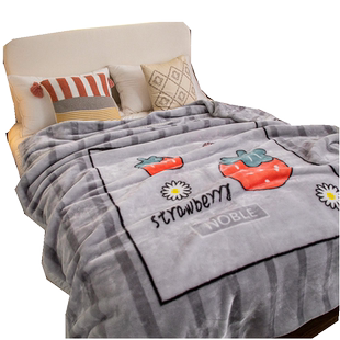 拉舍尔毛毯加厚冬季垫被冬天盖毯珊瑚绒床单超厚被子高端法兰绒女