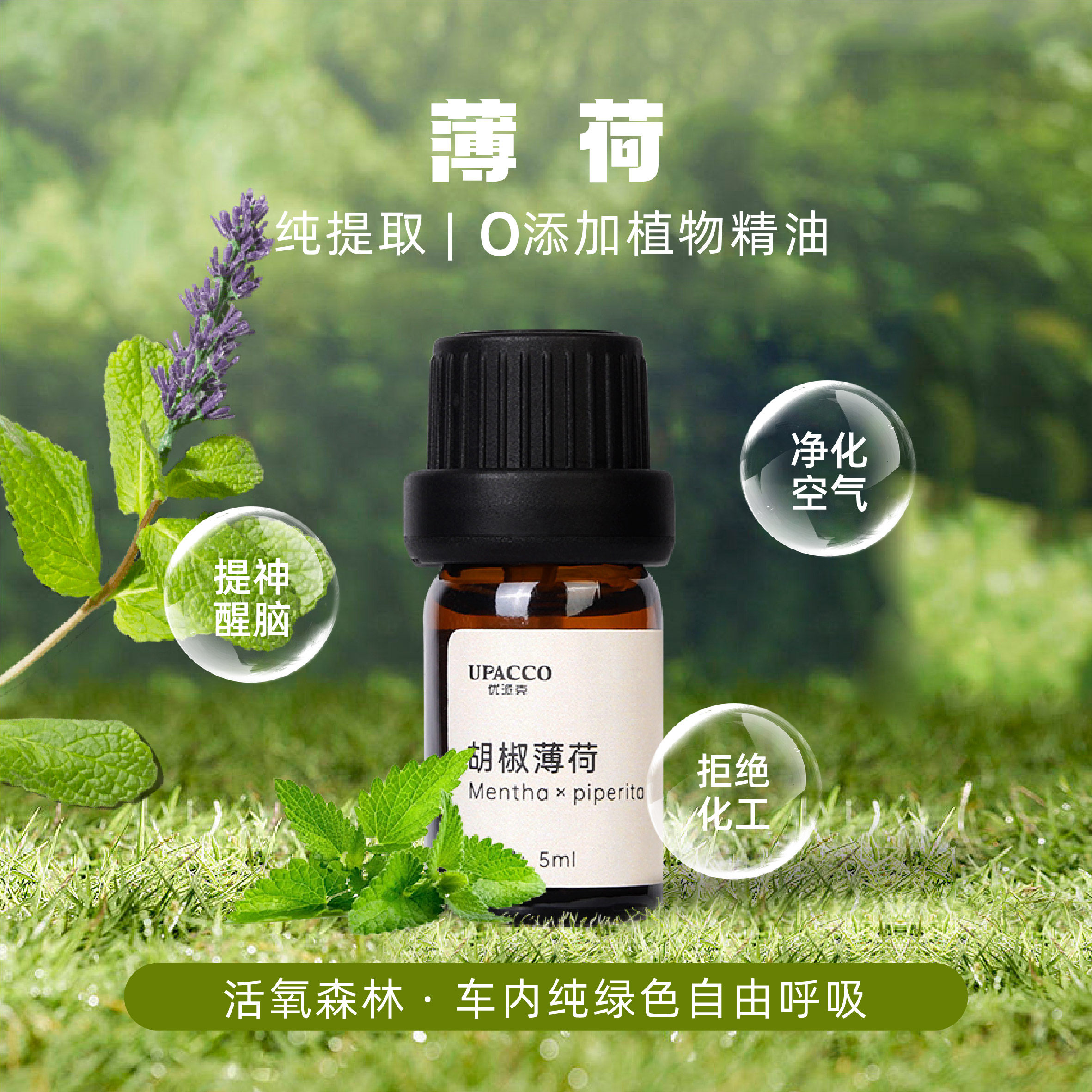 薄荷精油汽车香薰纯植物持久淡香男吹风口加湿器天然除味除臭神器