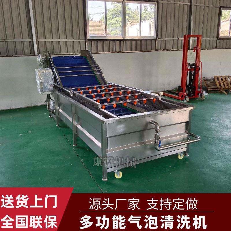 自动进出料仁气泡清洗机辣椒桑毛清豆去杂清洗机小番茄洗设备