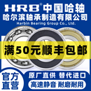 6004 6002 6003 6006 6005 6000 HRB哈尔滨轴承型号大全高速 6001