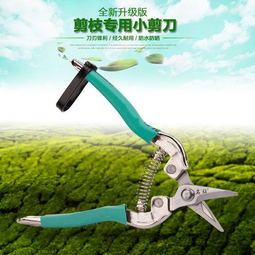 名钻稀果剪园艺剪刀花木修枝剪苗木果蔬采摘剪翘头剪桑剪桔剪采摘