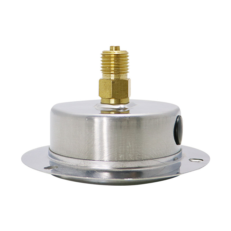 YN60ZT耐抗震压力表60mm轴向带边面板油液压负压1/4 M14*1.5,个性定制/设计服务/DIY,明信片定制,淘宝优惠券,粉丝福利购,淘宝优惠卷