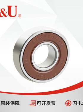 人本汽车发电机轴承SA6302 6303 6304 6201 6202 6203 608 6403RS