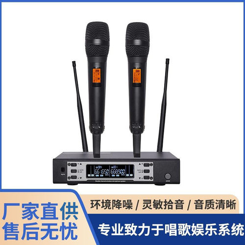 跨境热卖专业调频一拖二无线麦克风KTV话筒声卡户外舞台演出
