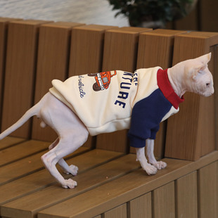 潮牌无毛猫衣服秋冬保暖斯芬克斯加绒卫衣猫衣服德文矮脚