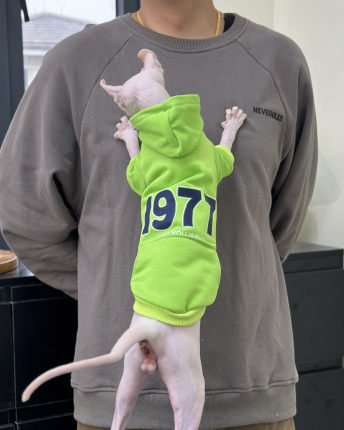 无毛猫秋冬衣服 1977连帽 保暖纯棉卫衣斯芬克斯德文矮脚猫咪服饰