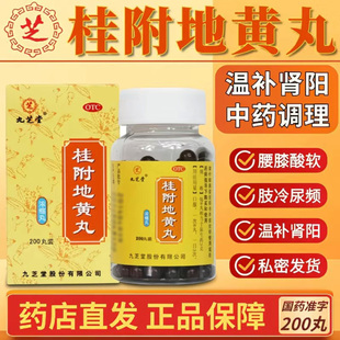 九芝堂 桂附地黄丸浓缩丸200丸 温补肾阳 腰膝酸软 肢冷尿频