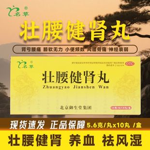 名草壮腰健肾丸5.6g*10丸 壮腰健肾祛风湿腰痛小便频数风湿骨痛
