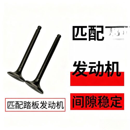 摩托踏板车GY6-125 豪迈金浪助力车50缸头进排气门油封通用
