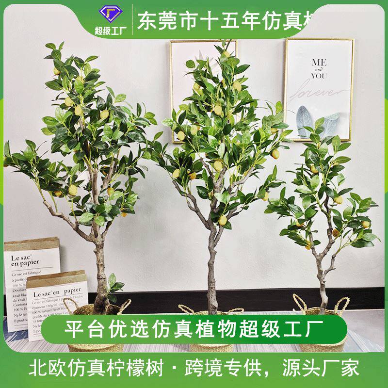 仿真柠檬树盆栽 lemontree室内盆景塑料小果树植物绿植仿真柠檬树