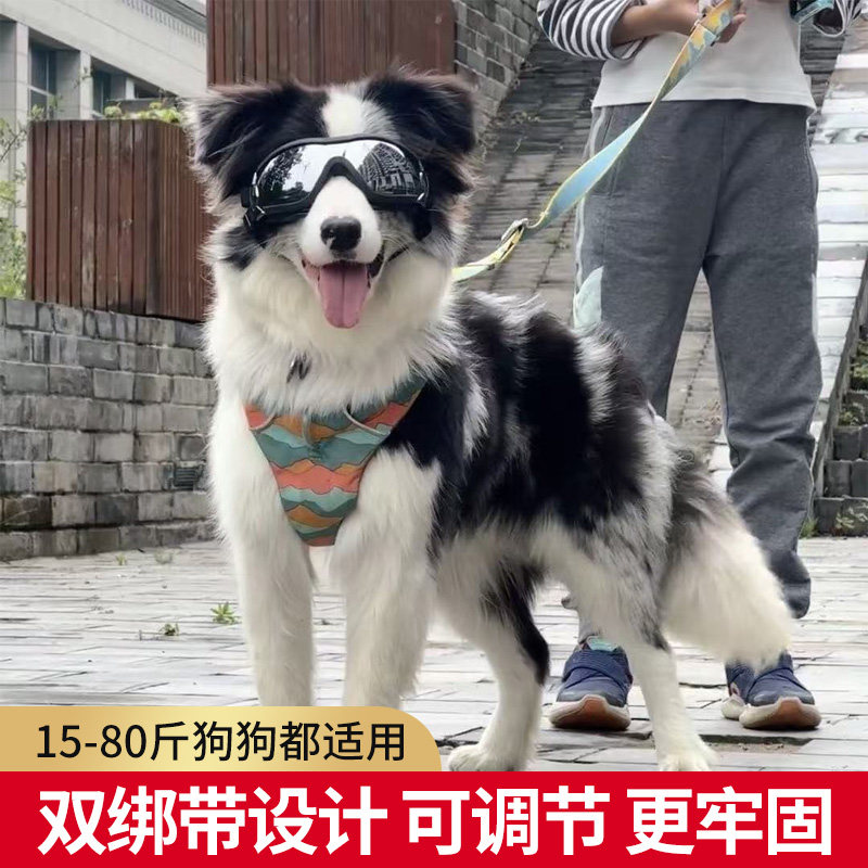 边牧金毛专用护目镜眼镜墨镜户外用品防紫外线防风防沙太阳镜柯基