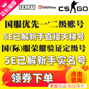 csgo账号5e成品定级蒸汽段位天梯