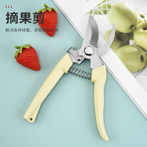 不锈钢园林剪家用绿化修枝剪花枝盆景剪刀园艺剪刀树枝剪弯头剪刀
