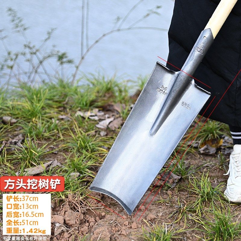 钢锹尖铲铁锨铁锹锰钢加厚木柄挖树专用锹农用挖土户外窄铲子,农机/农具/农膜,锄头,淘宝优惠券,粉丝福利购,淘宝优惠卷