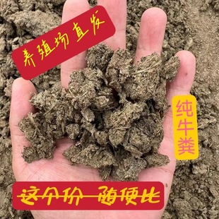 发酵干牛粪农家肥纯天然腐熟种菜盆栽花卉颗粒块状牛粪饼有机肥料