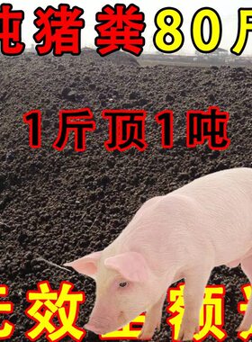 猪粪发酵有机肥料农家肥干粪便蔬菜肥料种菜家用有机肥纯干猪粪