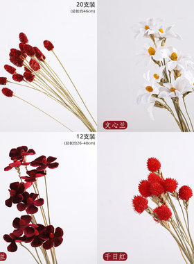 【干花系列合集】紫罗兰干花地榆文心兰千日红草莓果永生花香皂花