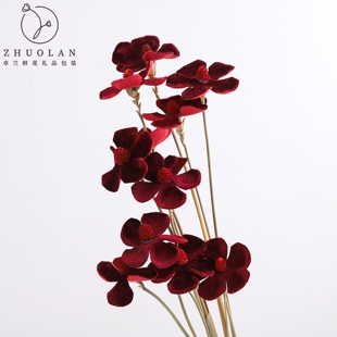 红色绒布紫罗兰仿真花干花五瓣花永生花花艺包装diy配饰花艺资材