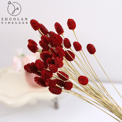 干花地榆永生花花束包装配饰家居插花装饰diy材料花店包花高级感