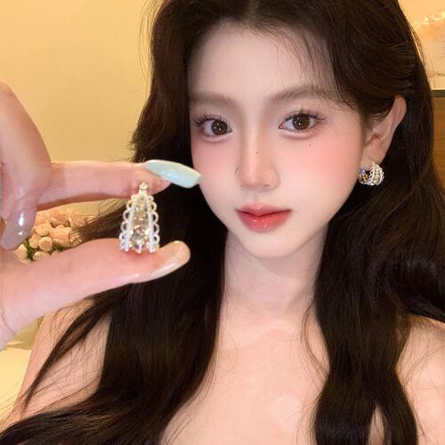精致水钻流苏蕾丝花边耳环女轻奢高级感气质耳钉2026新款爆款耳饰