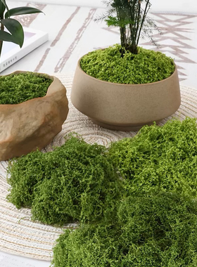 仿真苔藓造景假青苔毛线草皮绿植微景观植物装饰人造仿生草坪石头