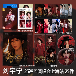 刘宇宁上海站演唱会周边单人高清珠光小卡照片海报吧唧全套包邮