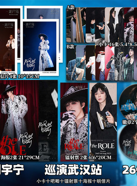 刘宇宁演唱会武汉站周边高级小卡照片海报拍立得吧唧镭射票一整套