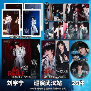 刘宇宁演唱会武汉站周边高级小卡照片海报拍立得吧唧镭射票一整套
