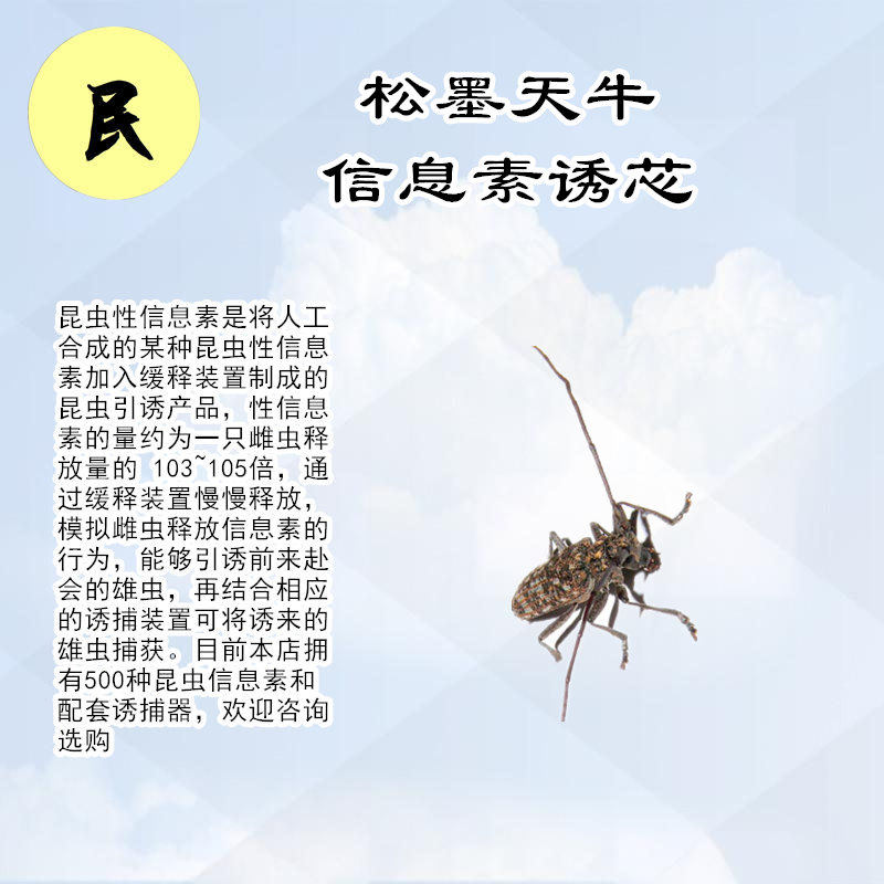松墨天牛/松褐天牛引诱剂诱芯诱捕器