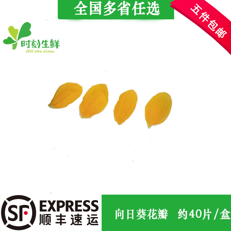 新鲜摆盘装饰花草向日葵