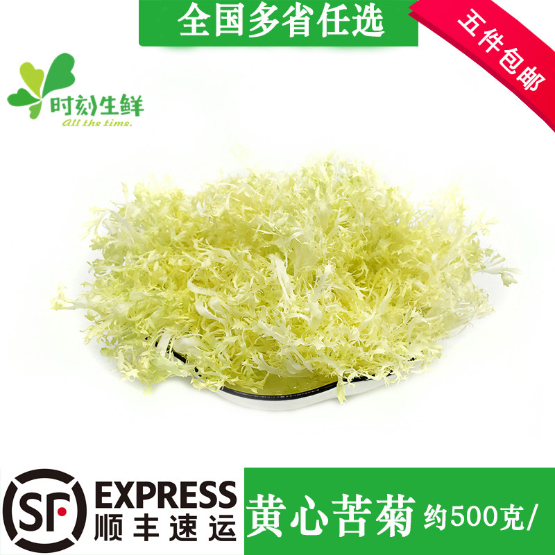 新鲜黄心苦叶 黄心苦菊生菜 狗牙生菜黄 九芽沙拉蔬菜500g
