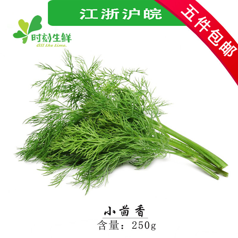新鲜小茴香 泰国香料 刁草250g 江浙沪皖5份包邮