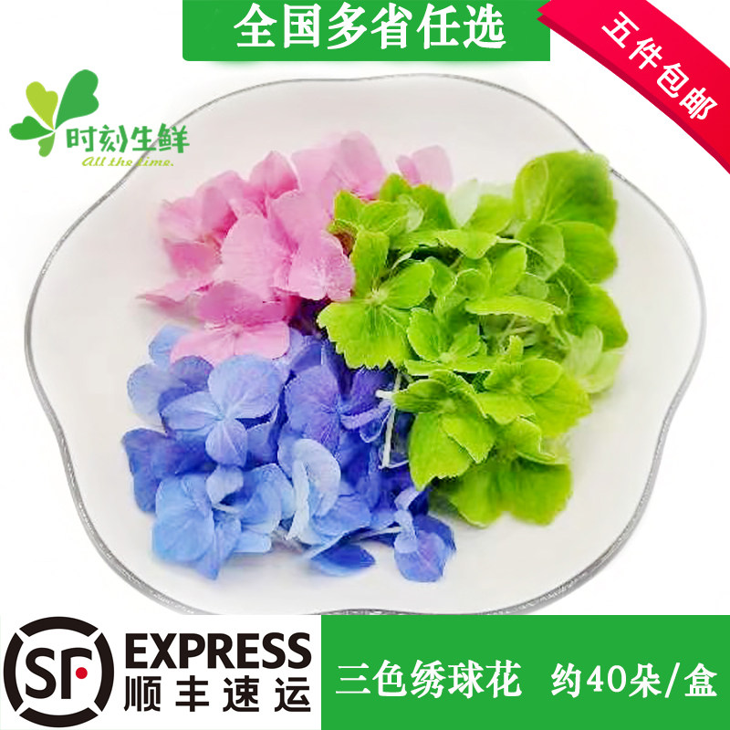 新鲜绿色食用饭店摆盘装饰图片
