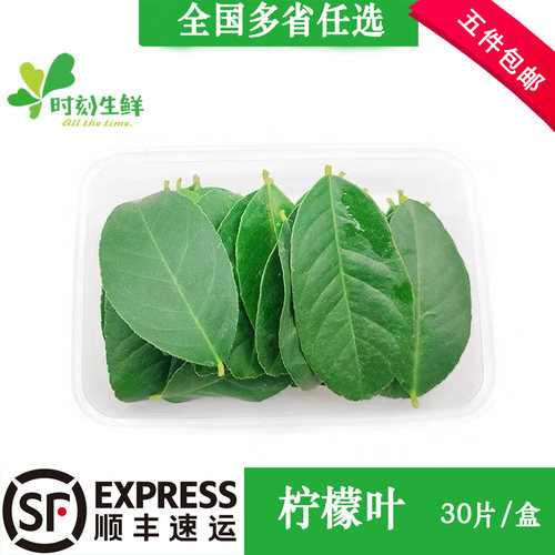 新鲜柠檬叶 青柠叶 冬阴功香料酒店西餐烘焙料理腌制烹饪摆盘装饰