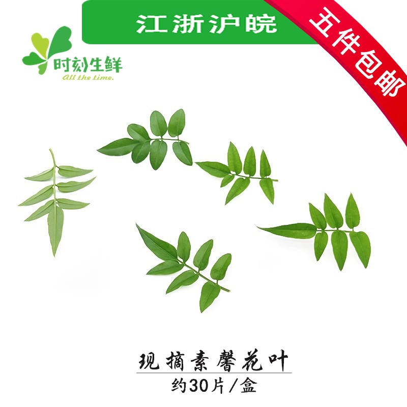 时刻生鲜摆盘花草酒店装饰花草